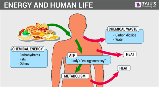 ENERGY-AND-HUMAN-LIFE-2