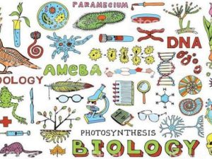 cabang-cabang-ilmu-biologi