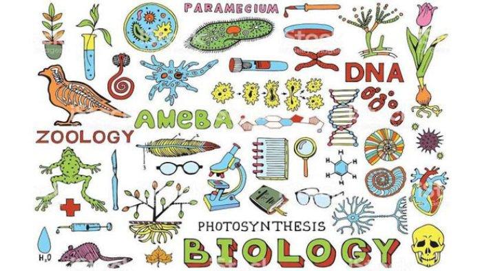 cabang-cabang-ilmu-biologi
